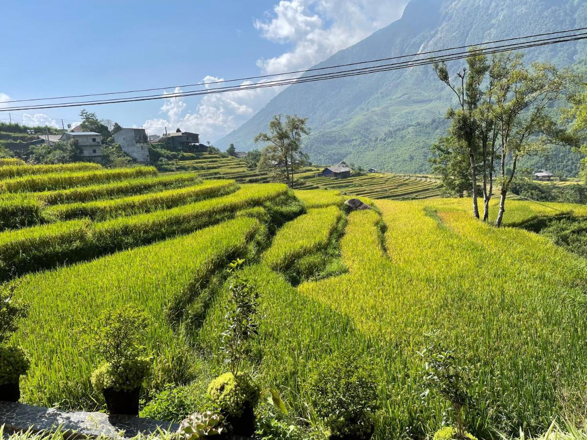 Mt House Sa Pa Hotel Ngoại thất bức ảnh