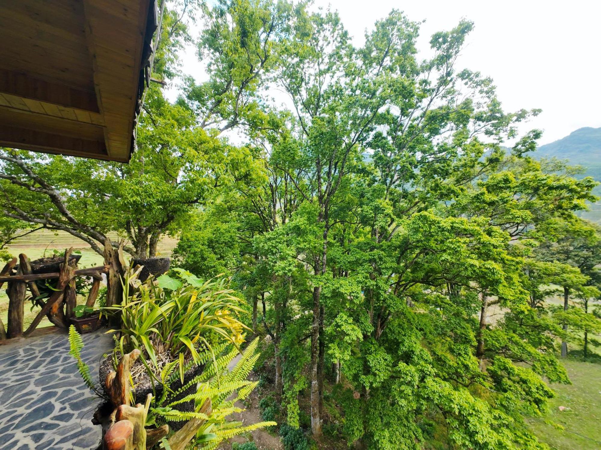 Mt House Sa Pa Hotel Ngoại thất bức ảnh